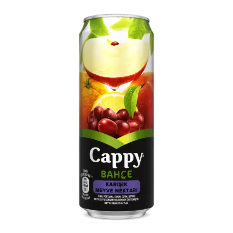 Meyve Suyu Karışık (330 ml)