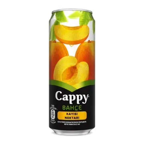 Meyve Suyu Kayısı (330 ml)
